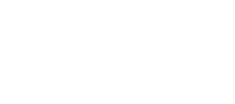 logo morganti bianco